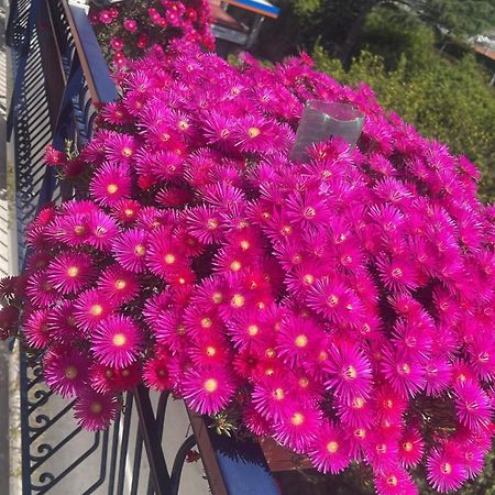 Bougainvillea Relais ソレント エクステリア 写真